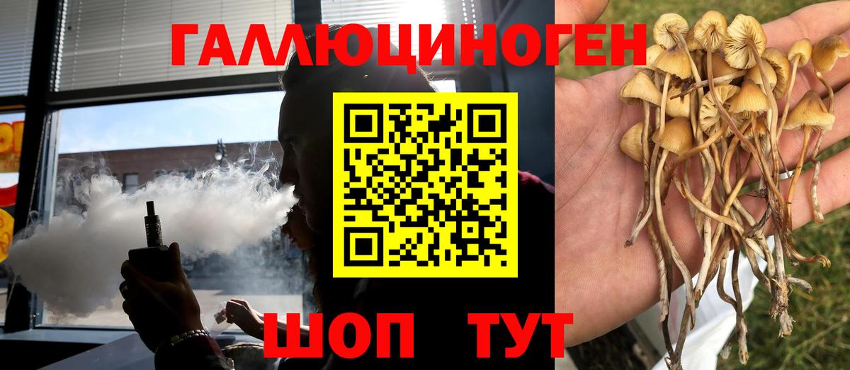Светлоград  Галлюциногенные грибы мухоморы  Вход с VPN 