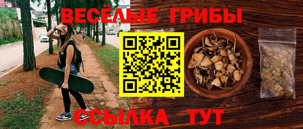Псилоцибиновые грибы MAGIC MUSHROOMS Светлоград